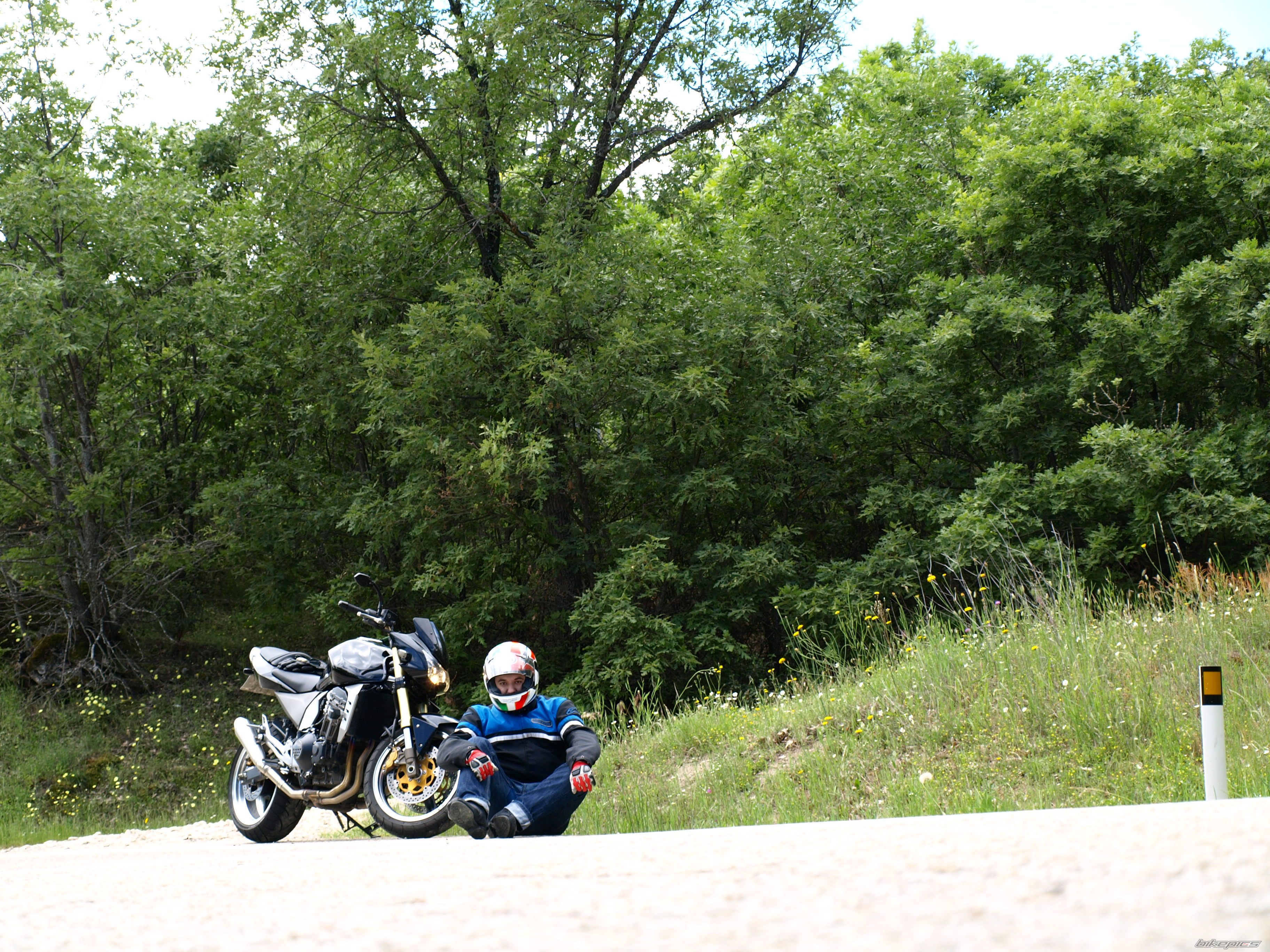 2006 KAWASAKI Z 1000 | Picture 1355394 motorcycle photo