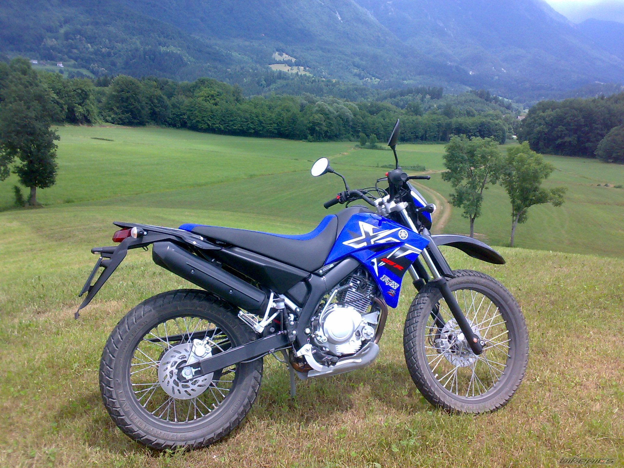 2008 YAMAHA XT 125 | Picture 1355648 motorcycle photo