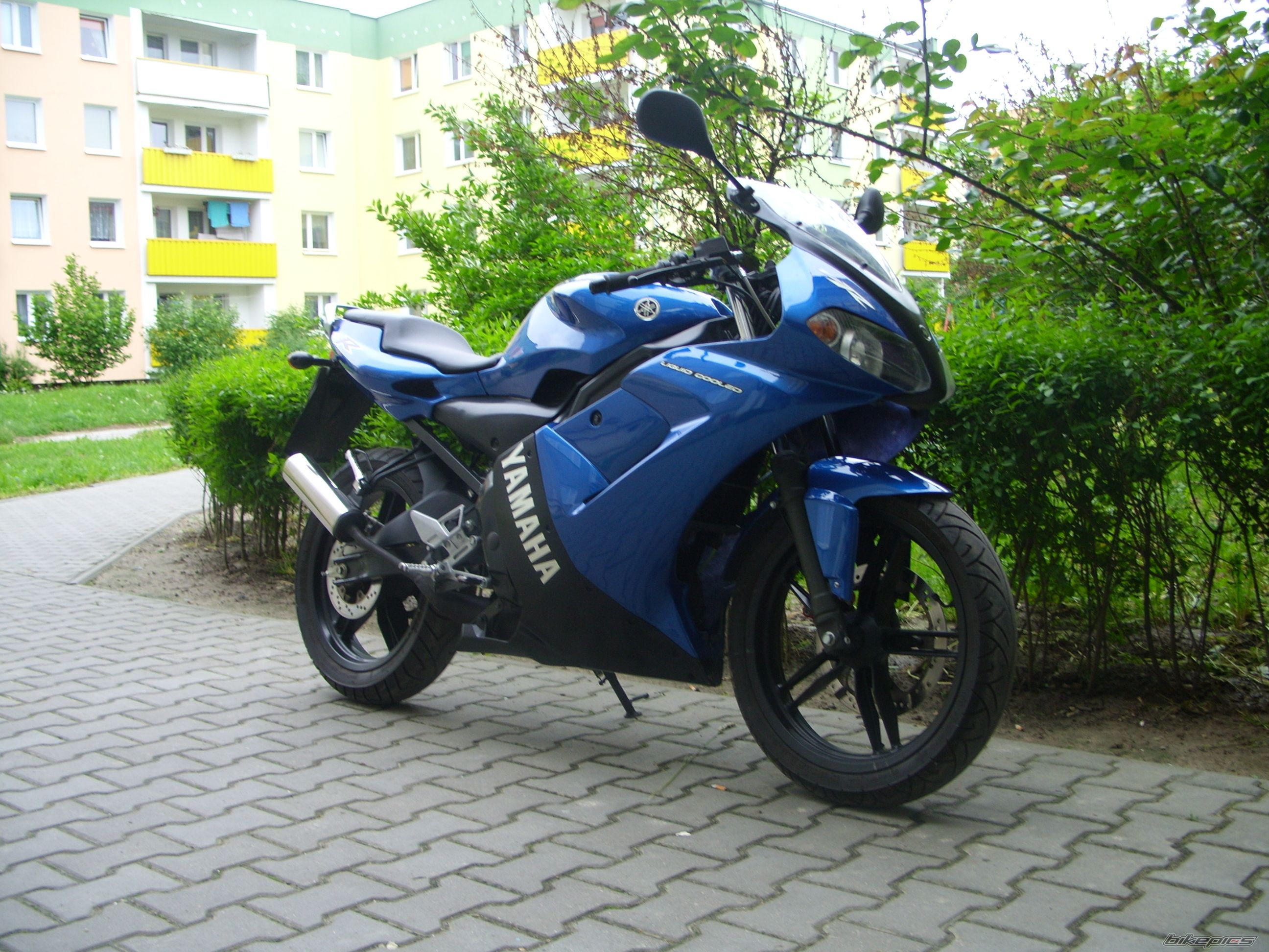 2005 YAMAHA TZR 50 | Picture 1355673 motorcycle photo