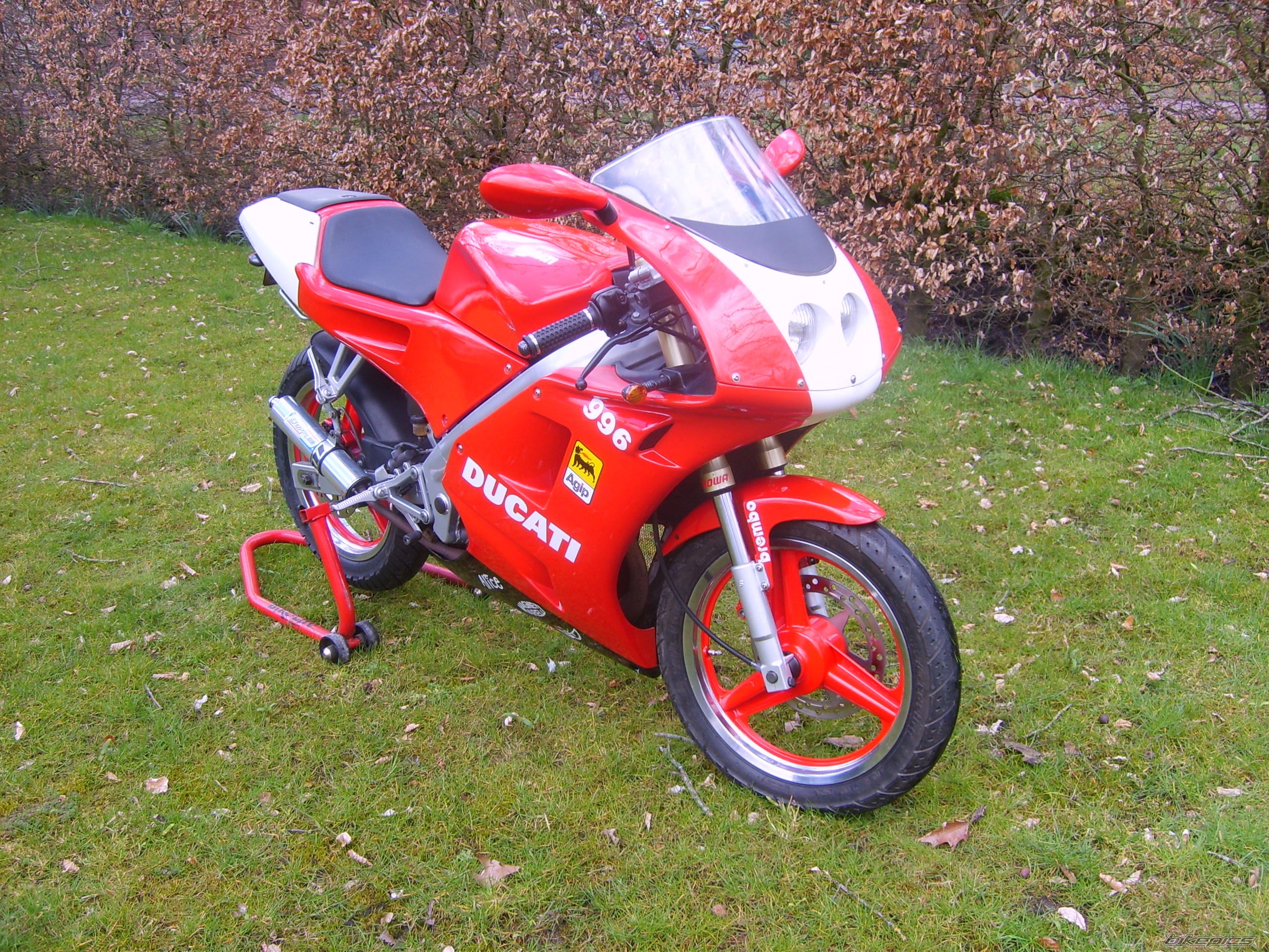 2001 DERBI GPR 50 RACING | Picture 1356096 motorcycle photo