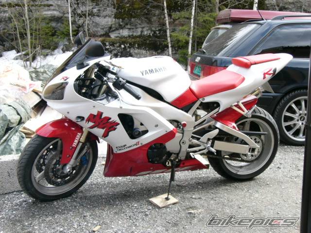 1998 YAMAHA YZF R1 | Picture 135639 motorcycle photo