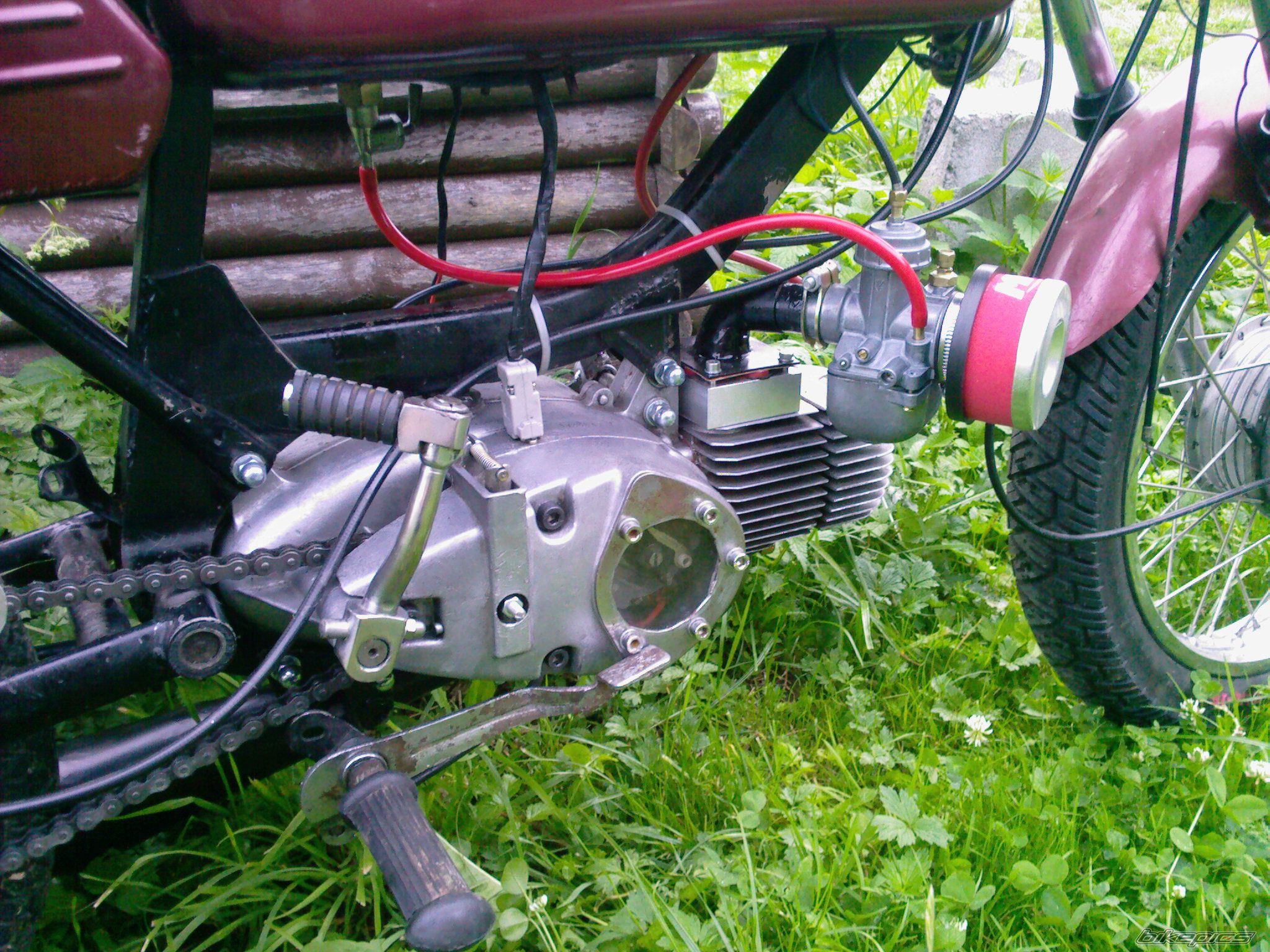 1981 JAWA MUSTANG 50 | Picture 1356917 motorcycle photo