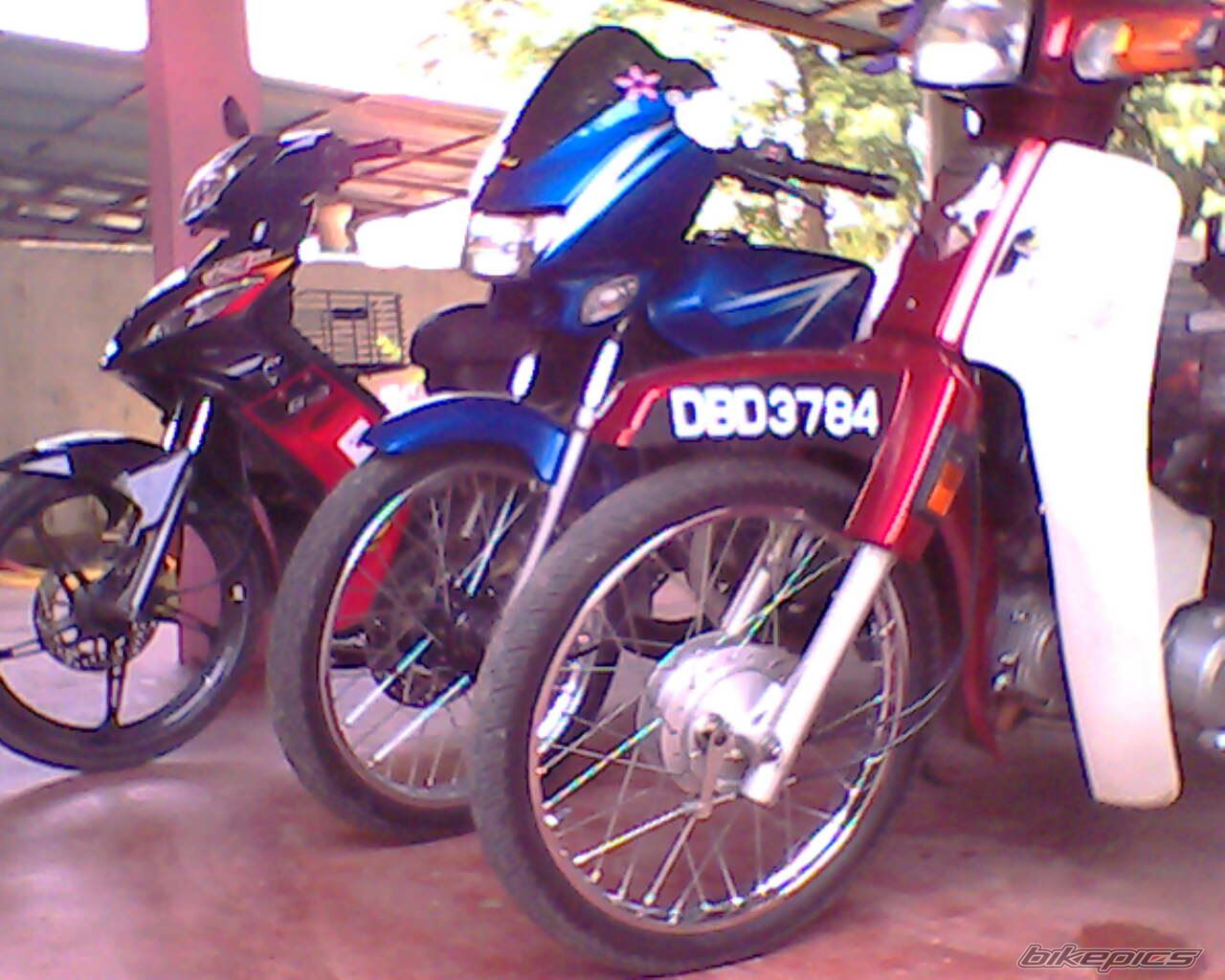   | Picture 1357148 motorcycle photo