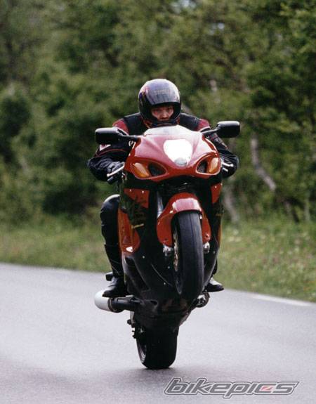 1999 SUZUKI HAYABUSA | Picture 13578 motorcycle photo