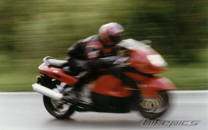 1999 SUZUKI HAYABUSA | Picture 13579 motorcycle photo