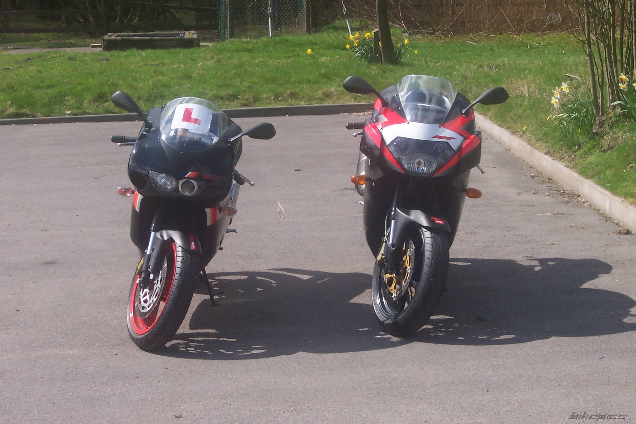 2004 APRILIA RS 125 | Picture 135829 motorcycle photo