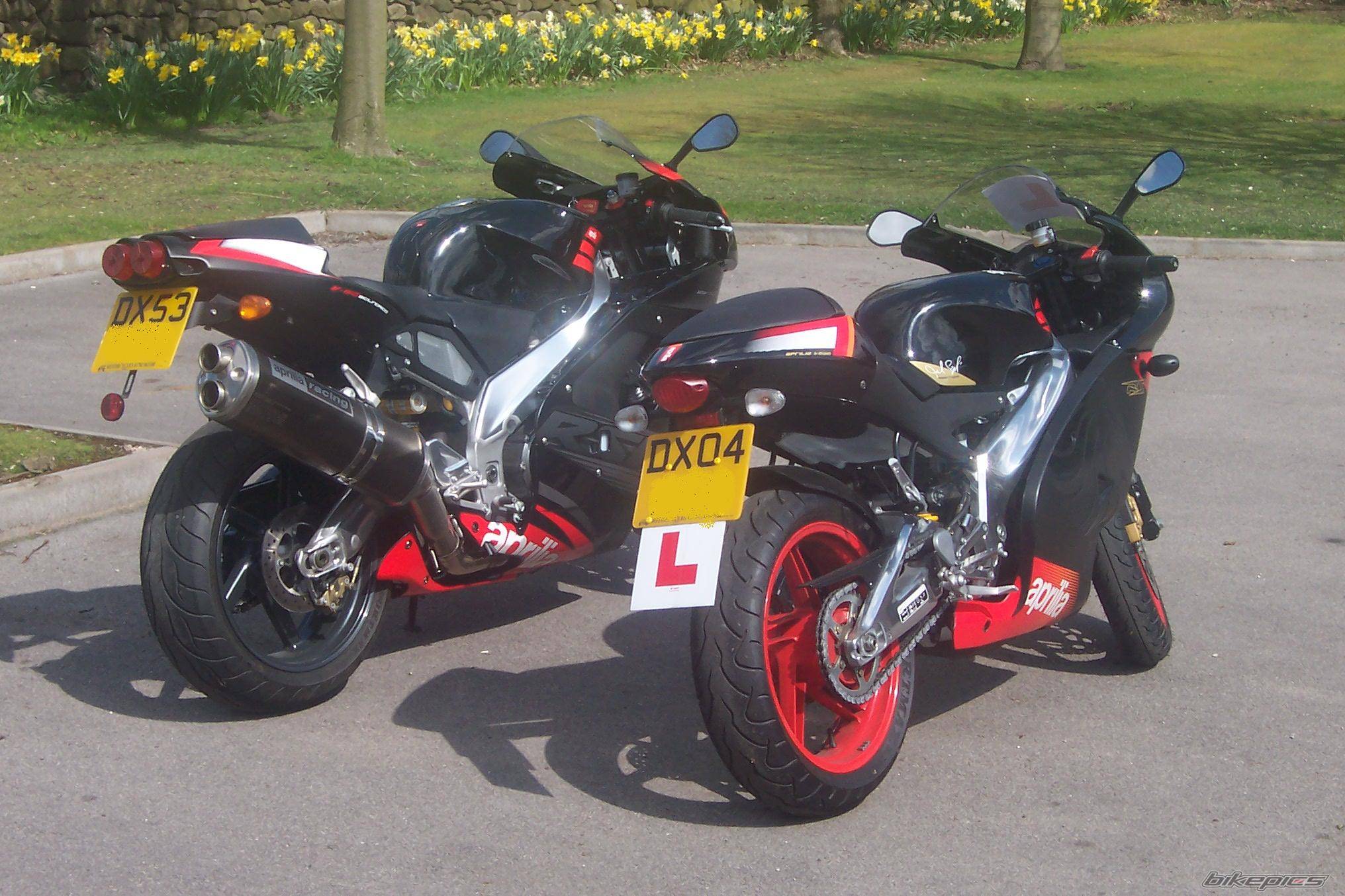 2004 APRILIA RS 125 | Picture 135834 motorcycle photo