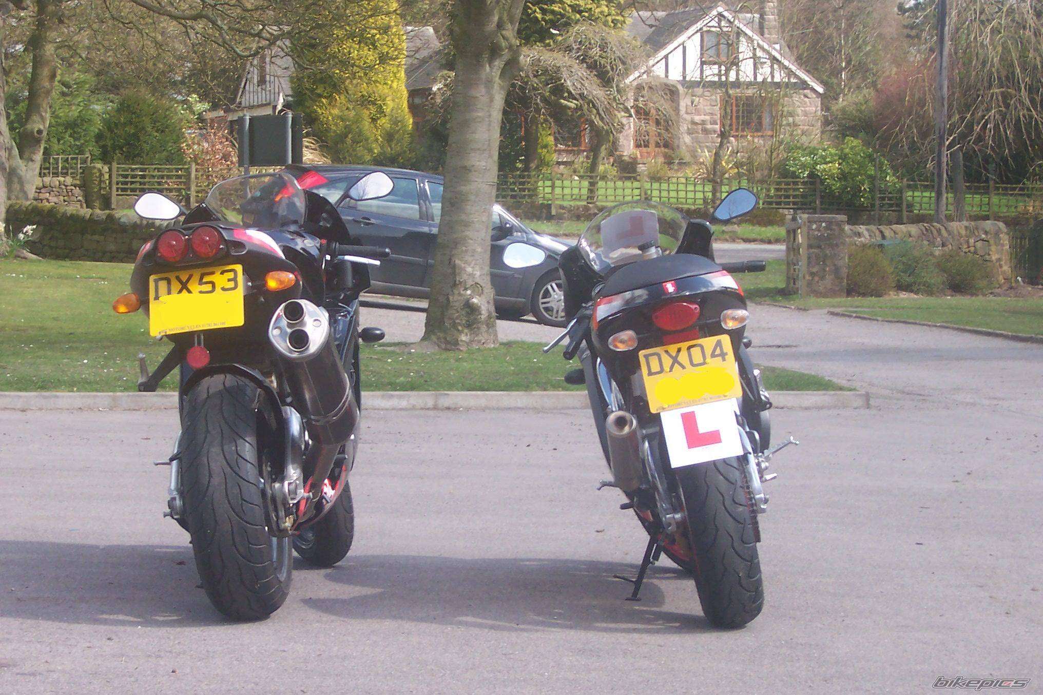 2004 APRILIA RS 125 | Picture 135836 motorcycle photo