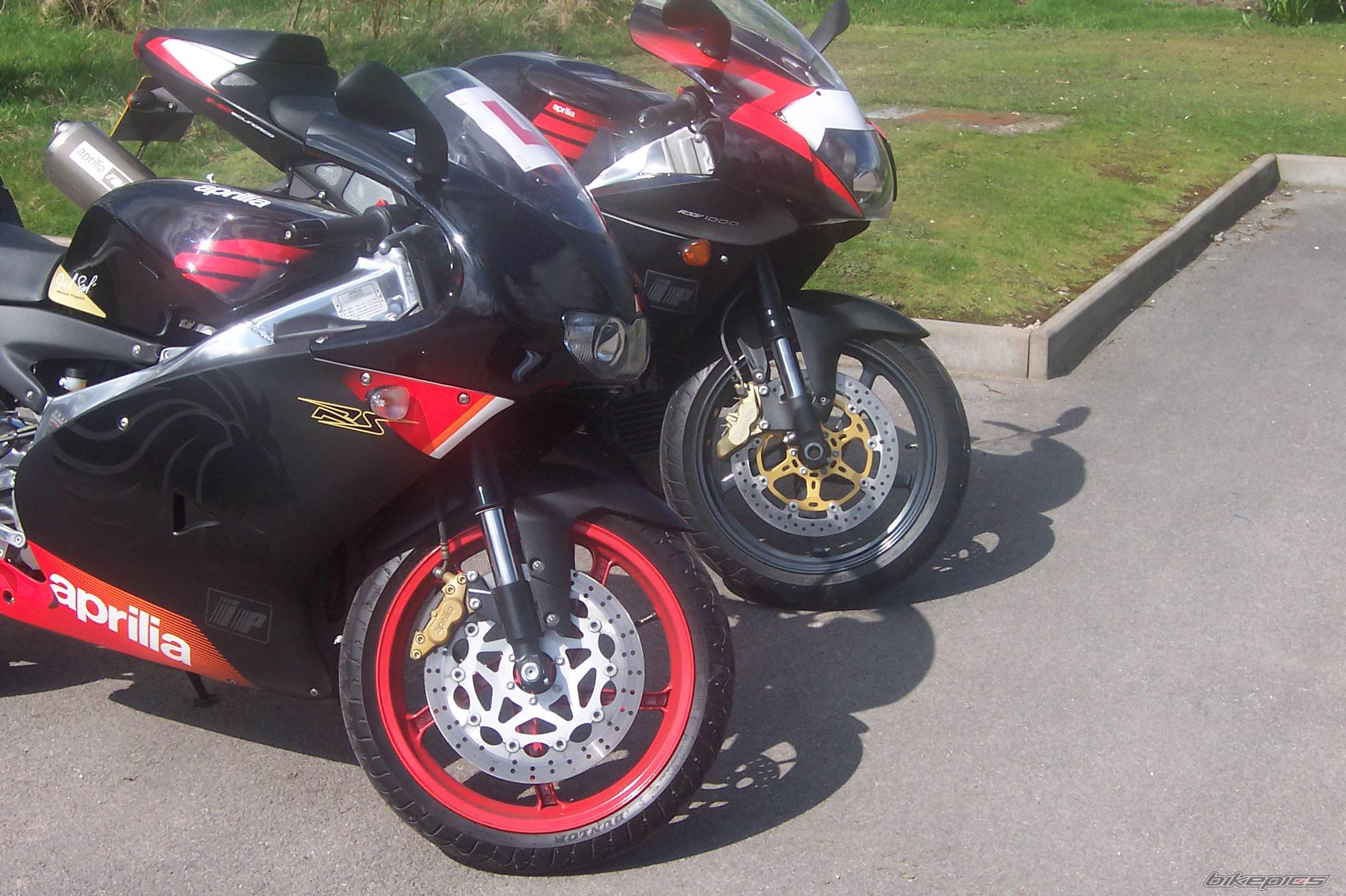 2004 APRILIA RS 125 | Picture 135840 motorcycle photo