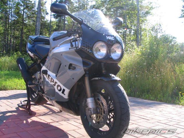 1992 HONDA CBR 900 | Picture 1358520 motorcycle photo