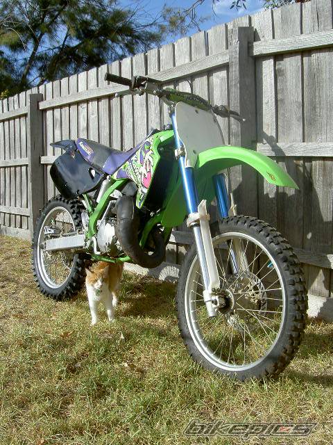 1992 KAWASAKI KX 125 | Picture 135867 motorcycle photo
