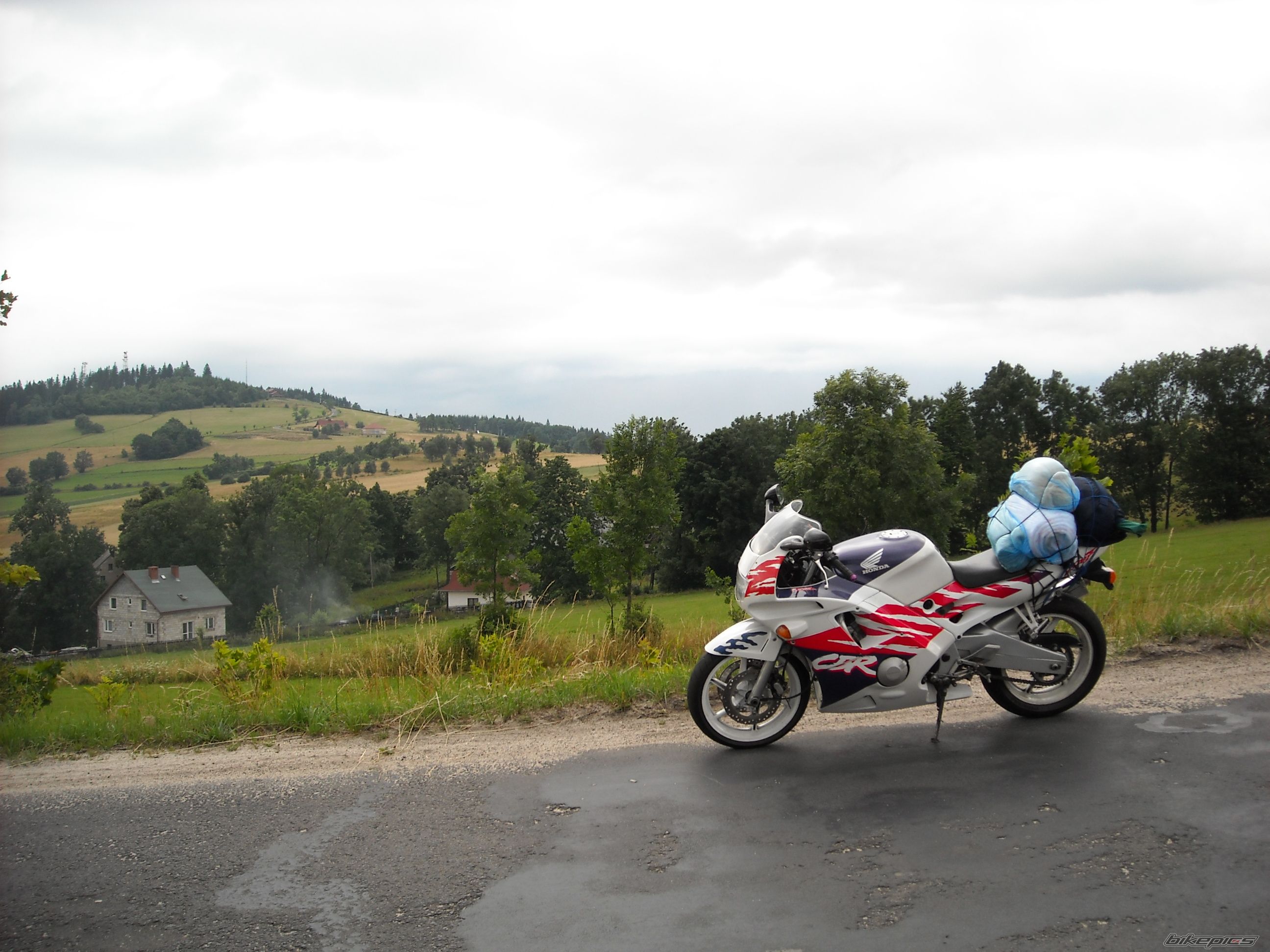 1993 HONDA CBR 600 | Picture 1358778 motorcycle photo