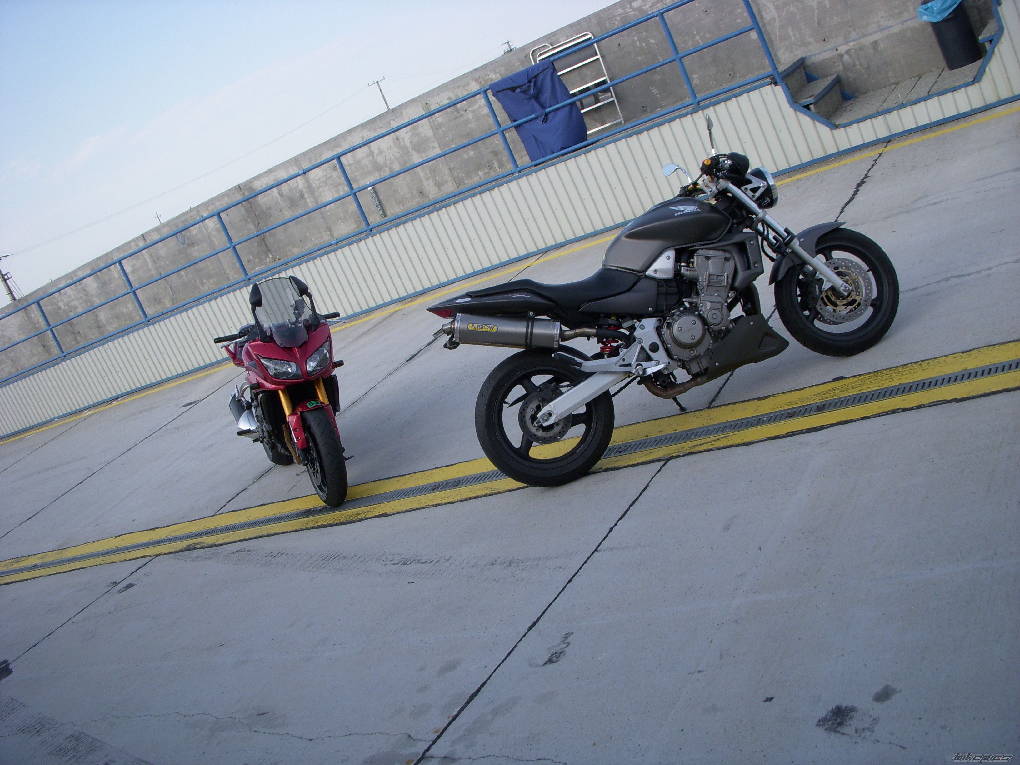 2004 HONDA CB 900 | Picture 1358932 motorcycle photo