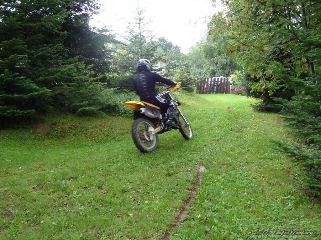 1995 SUZUKI RM 250 | Picture 1359425 motorcycle photo