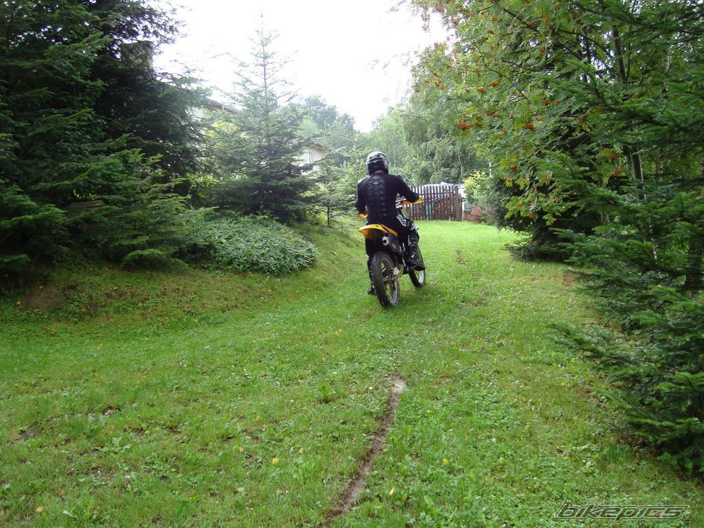 1995 SUZUKI RM 250 | Picture 1359426 motorcycle photo
