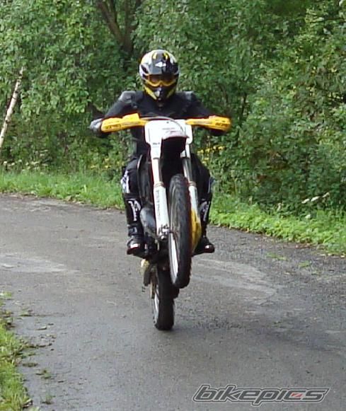 1995 SUZUKI RM 250 | Picture 1359429 motorcycle photo