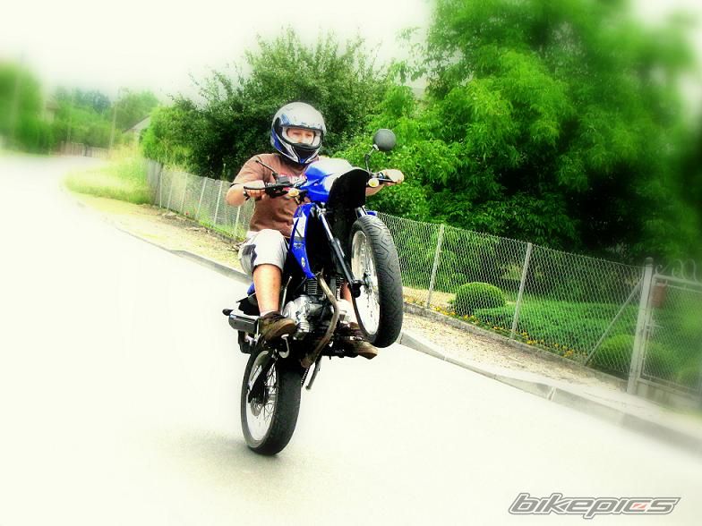    | Picture 1359438 motorcycle photo