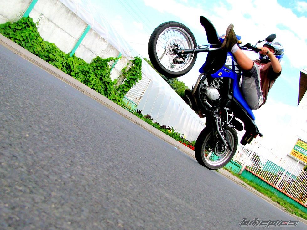 2006 YAMAHA XT 125 | Picture 1359446 motorcycle photo