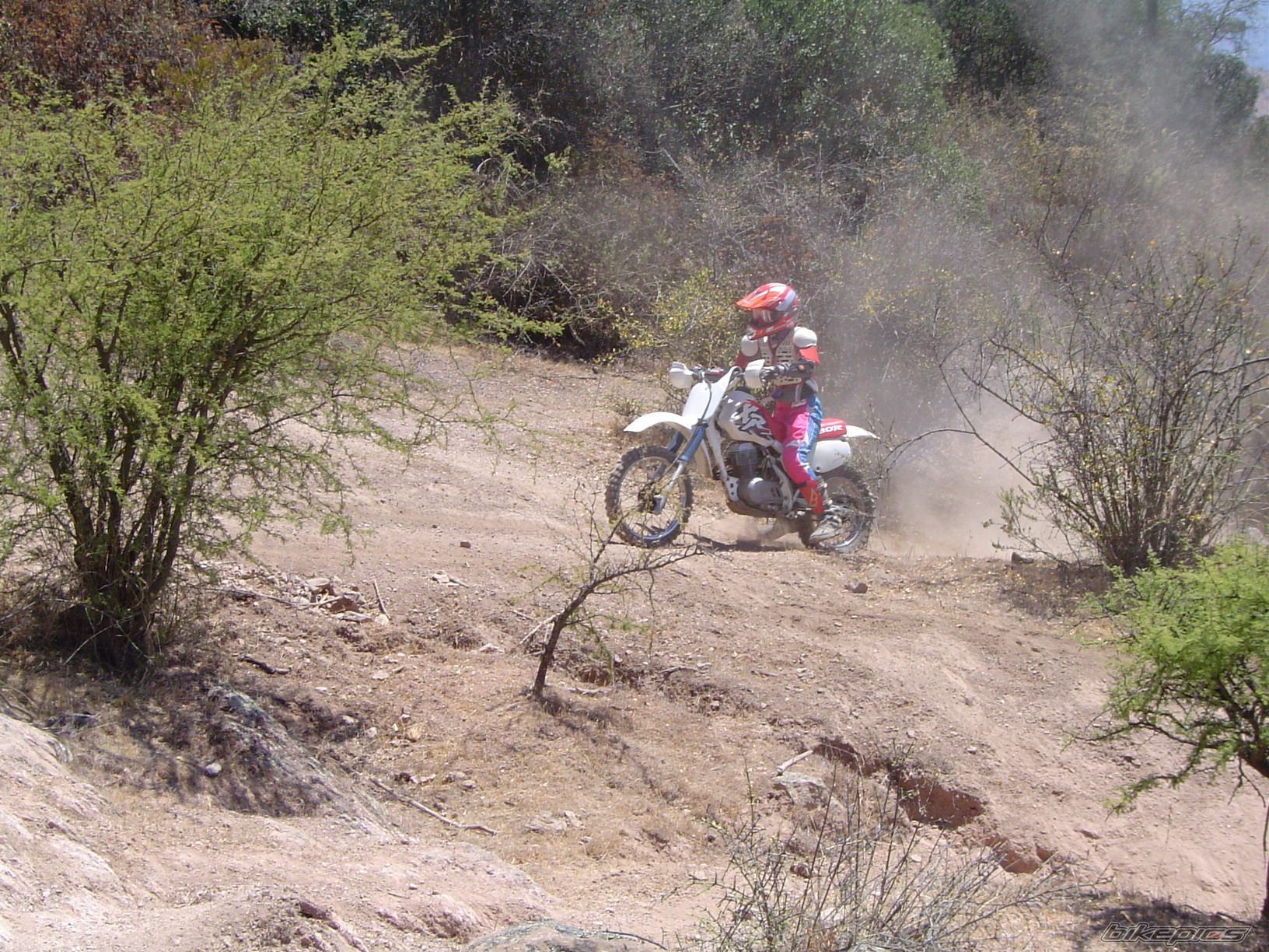 1994 HONDA XR 80 | Picture 1359606 motorcycle photo