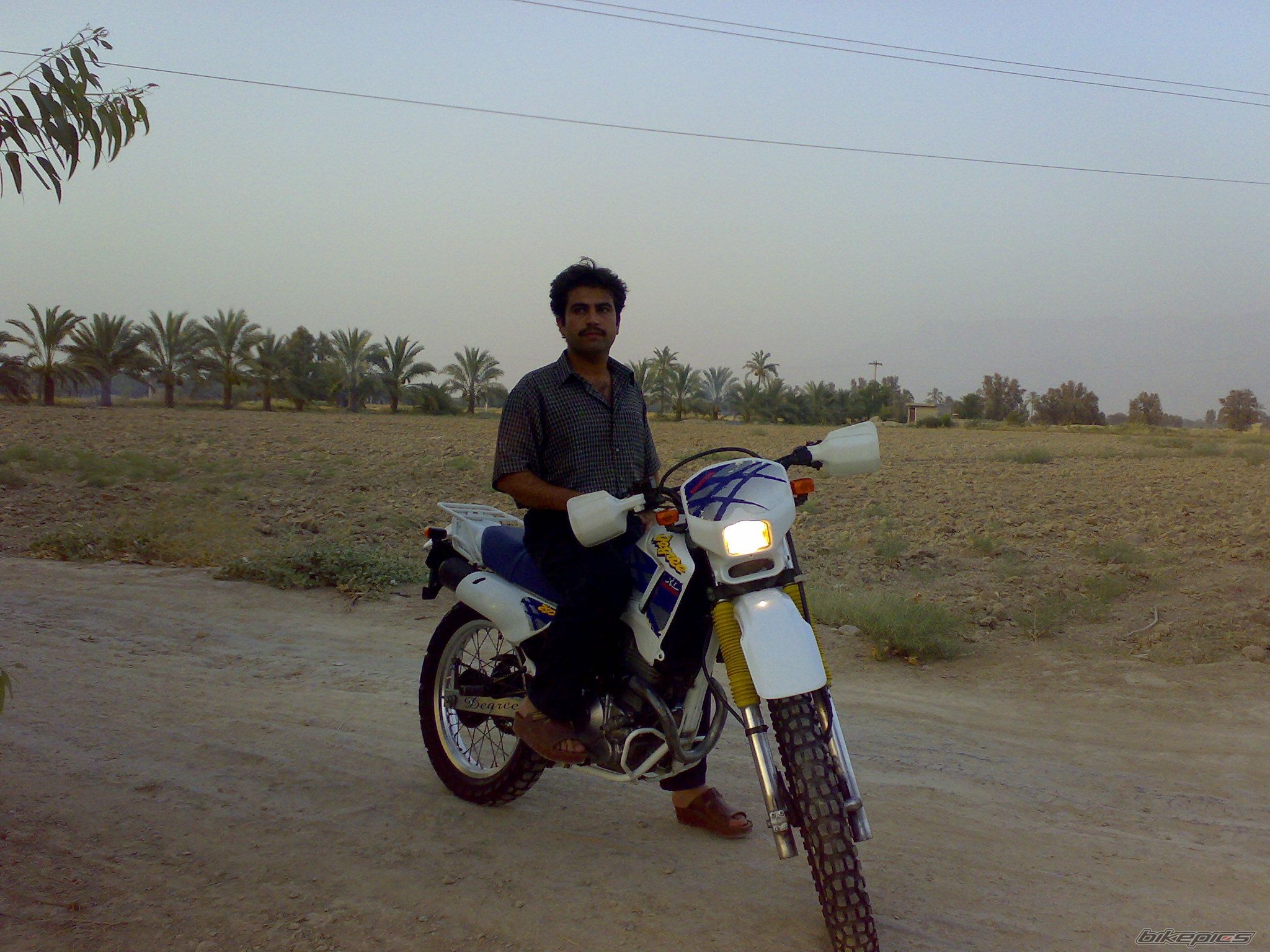 1998 HONDA AX 1 250 | Picture 1359697 motorcycle photo