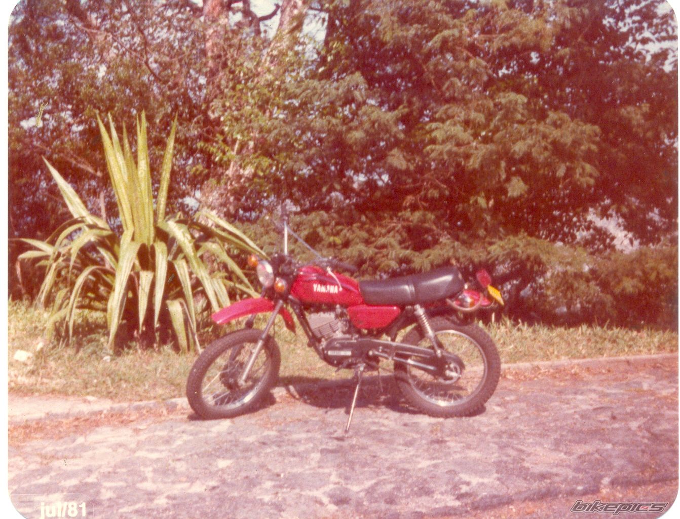 1980 YAMAHA RS 125 | Picture 1360121 motorcycle photo