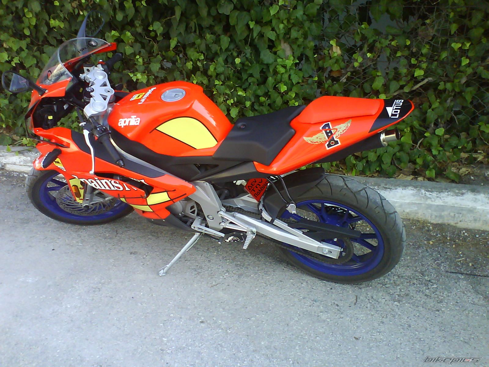 2008 APRILIA RS 50 | Picture 1360126 motorcycle photo