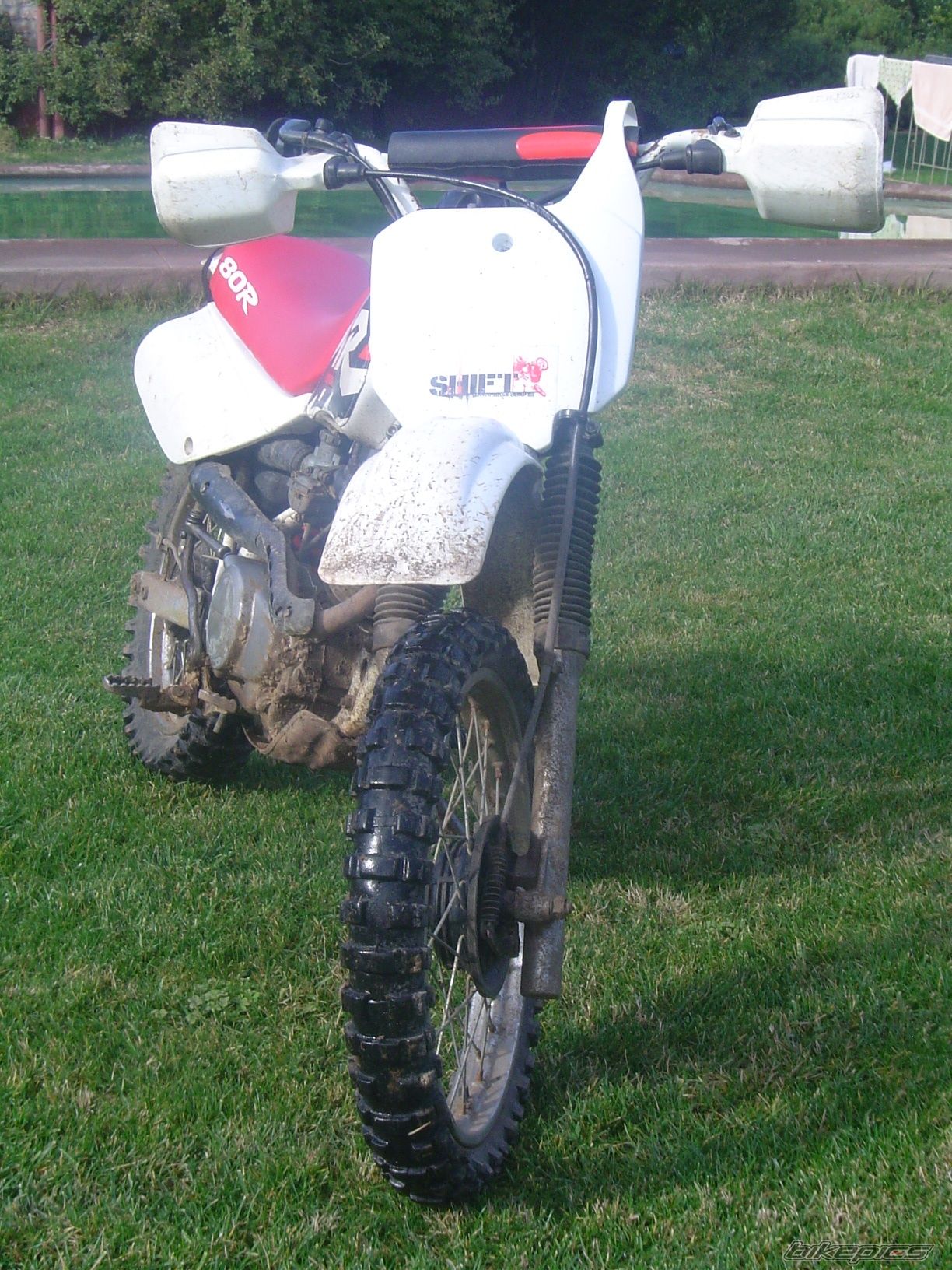 1994 HONDA XR 80 | Picture 1360143 motorcycle photo