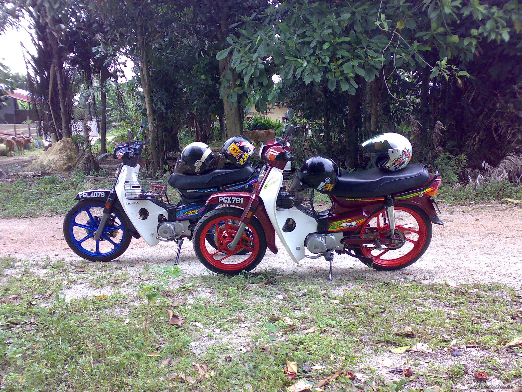 2006 HONDA HONDA EX5 | Picture 1360191 motorcycle photo