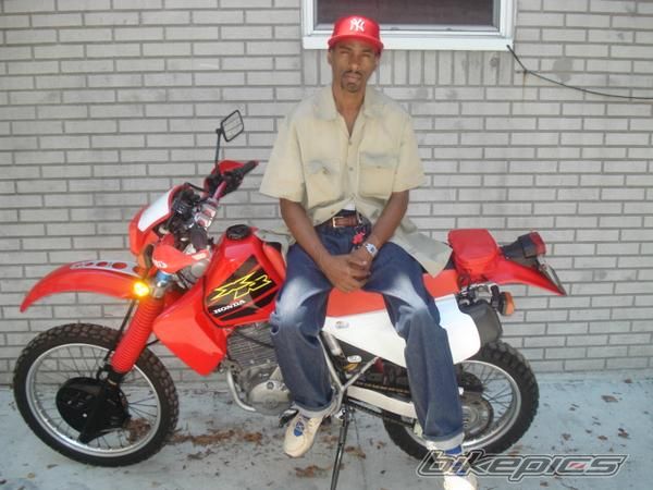 2000 HONDA XR 650 | Picture 1360382 motorcycle photo