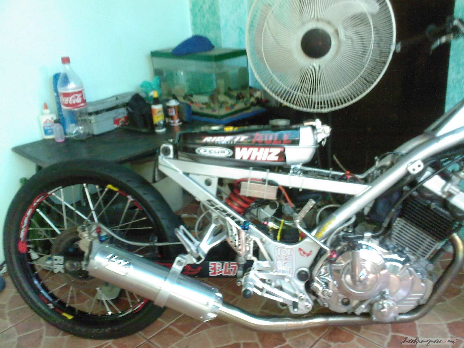 1987 SUZUKI RAIDER 150 | Picture 1361446 motorcycle photo