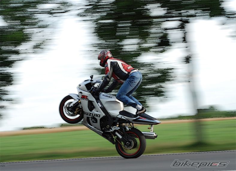 2003 SUZUKI GSX R 1000 | Picture 1361487 motorcycle photo