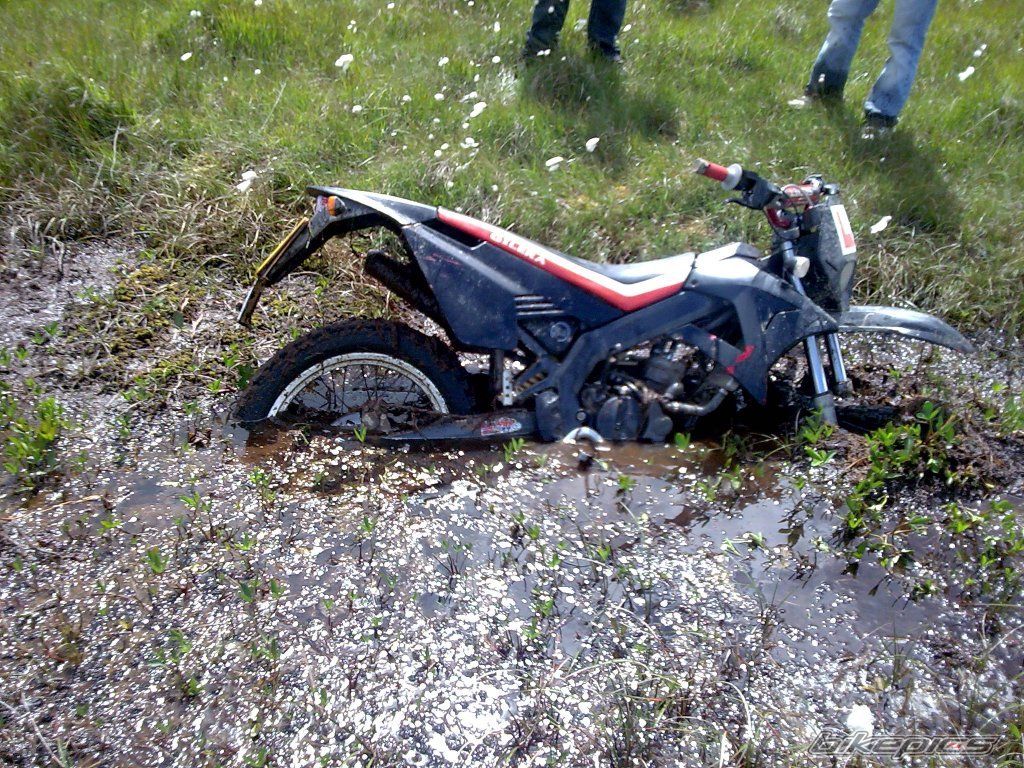 2004 GILERA RCR 50 | Picture 1361568 motorcycle photo