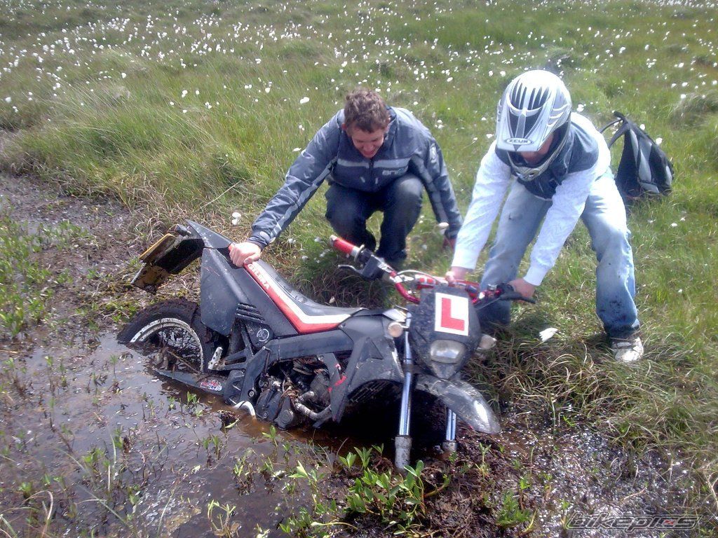 2004 GILERA RCR 50 | Picture 1361570 motorcycle photo
