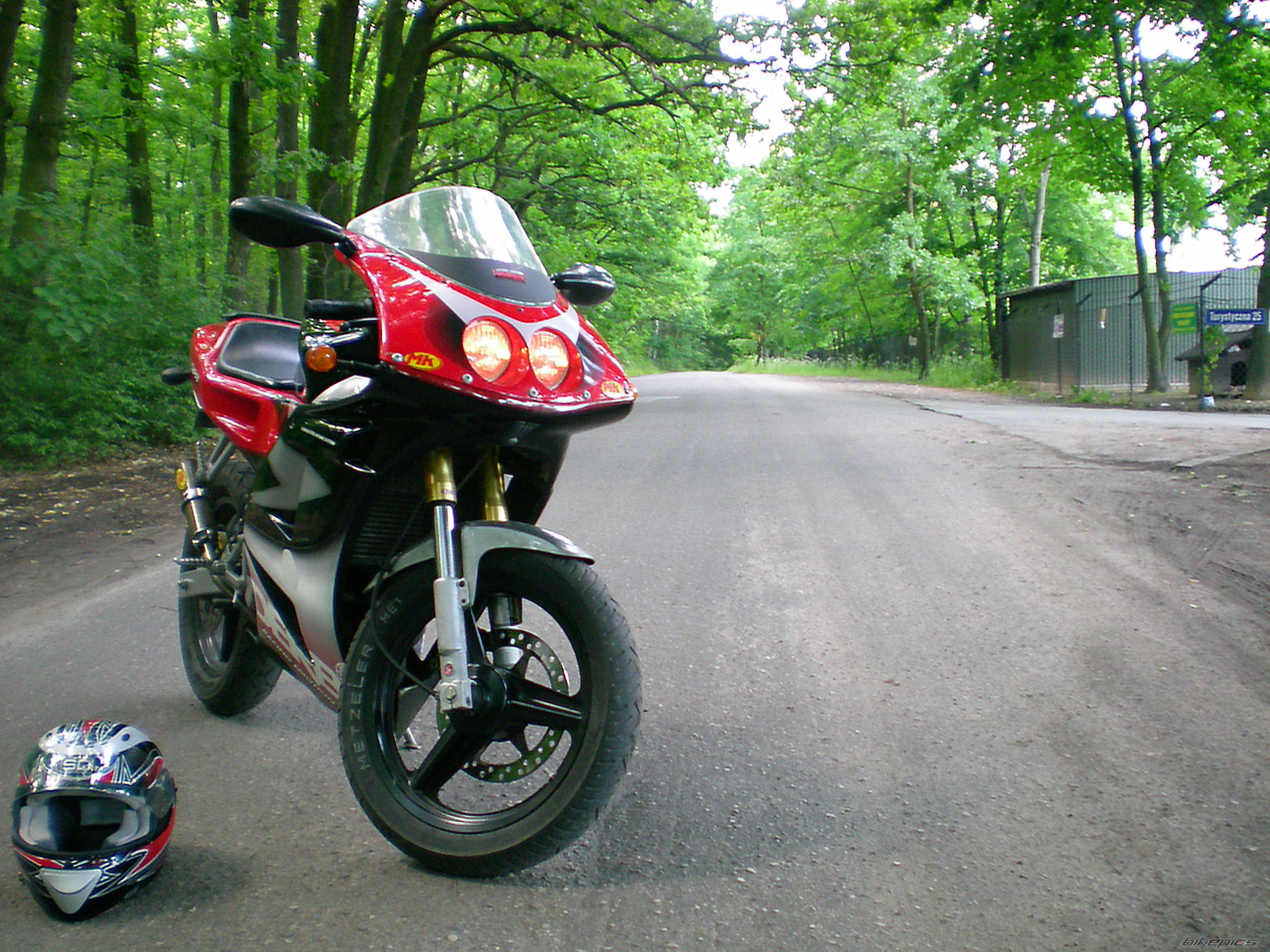 2003 DERBI GPR 50 RACING | Picture 1362009 motorcycle photo