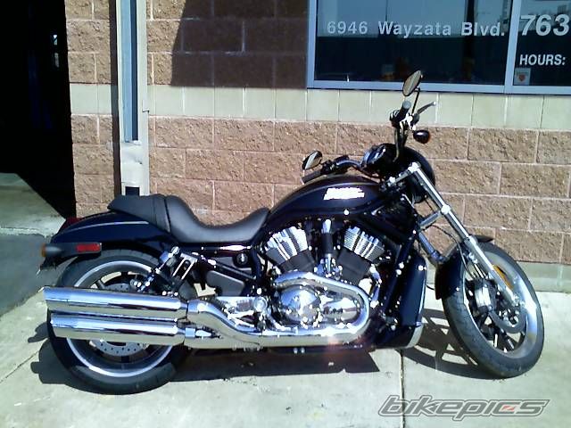 2006 HARLEY DAVIDSON VRSCR STREET ROD | Picture 1362321 motorcycle photo