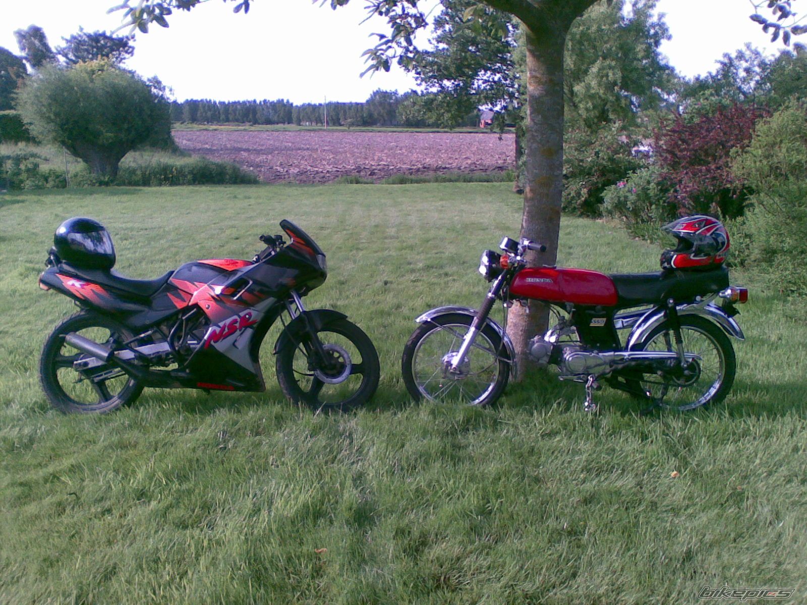 1989 HONDA NSR 50 | Picture 1362382 motorcycle photo