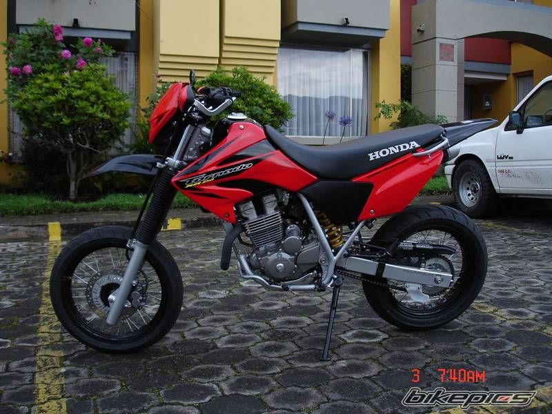   | Picture 1362547 motorcycle photo