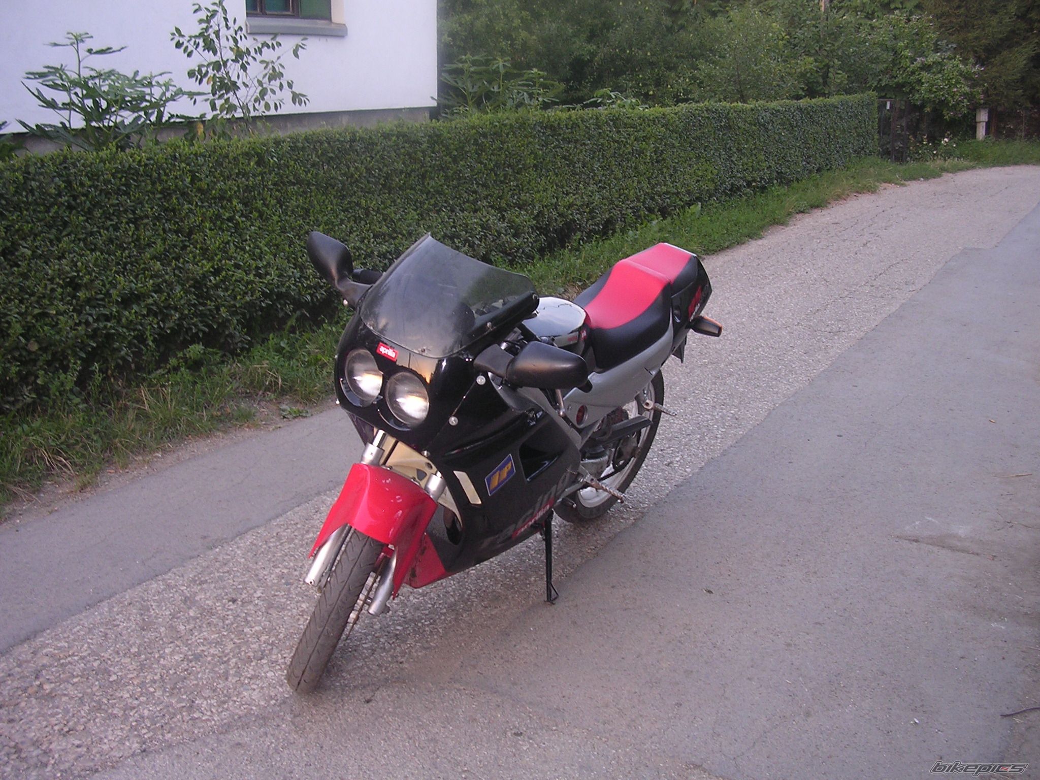 1991 APRILIA AF1 FUTURA 50 | Picture 1362553 motorcycle photo