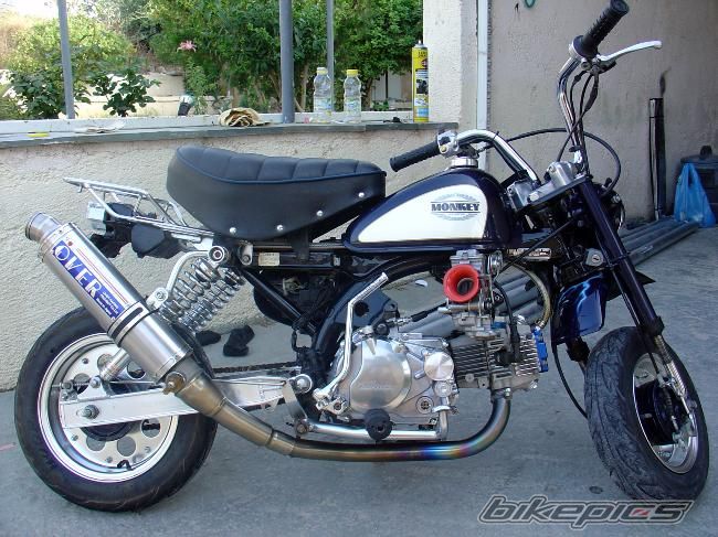 1996 HONDA Z 50 | Picture 1362579 motorcycle photo