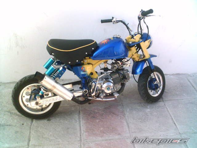 1996 HONDA Z 50 | Picture 1362580 motorcycle photo