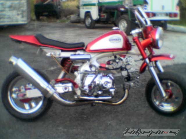 1996 HONDA Z 50 | Picture 1362582 motorcycle photo