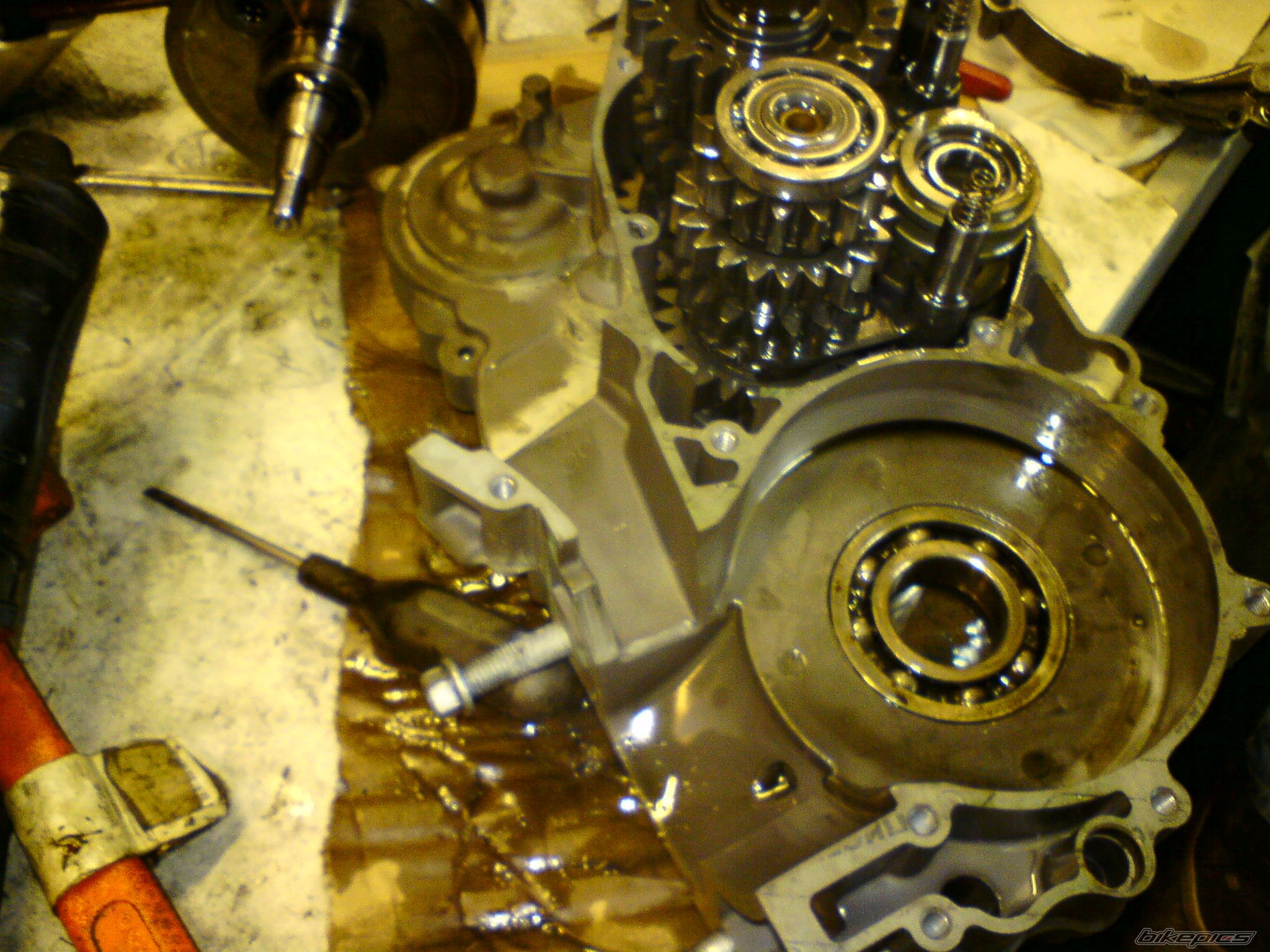 2006 KTM 250 SX | Picture 1363085 motorcycle photo