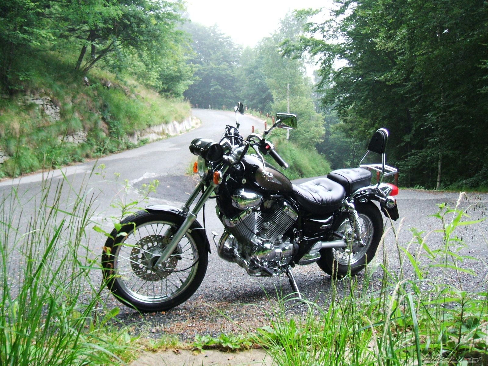 2000 YAMAHA VIRAGO 535 | Picture 1363363 motorcycle photo