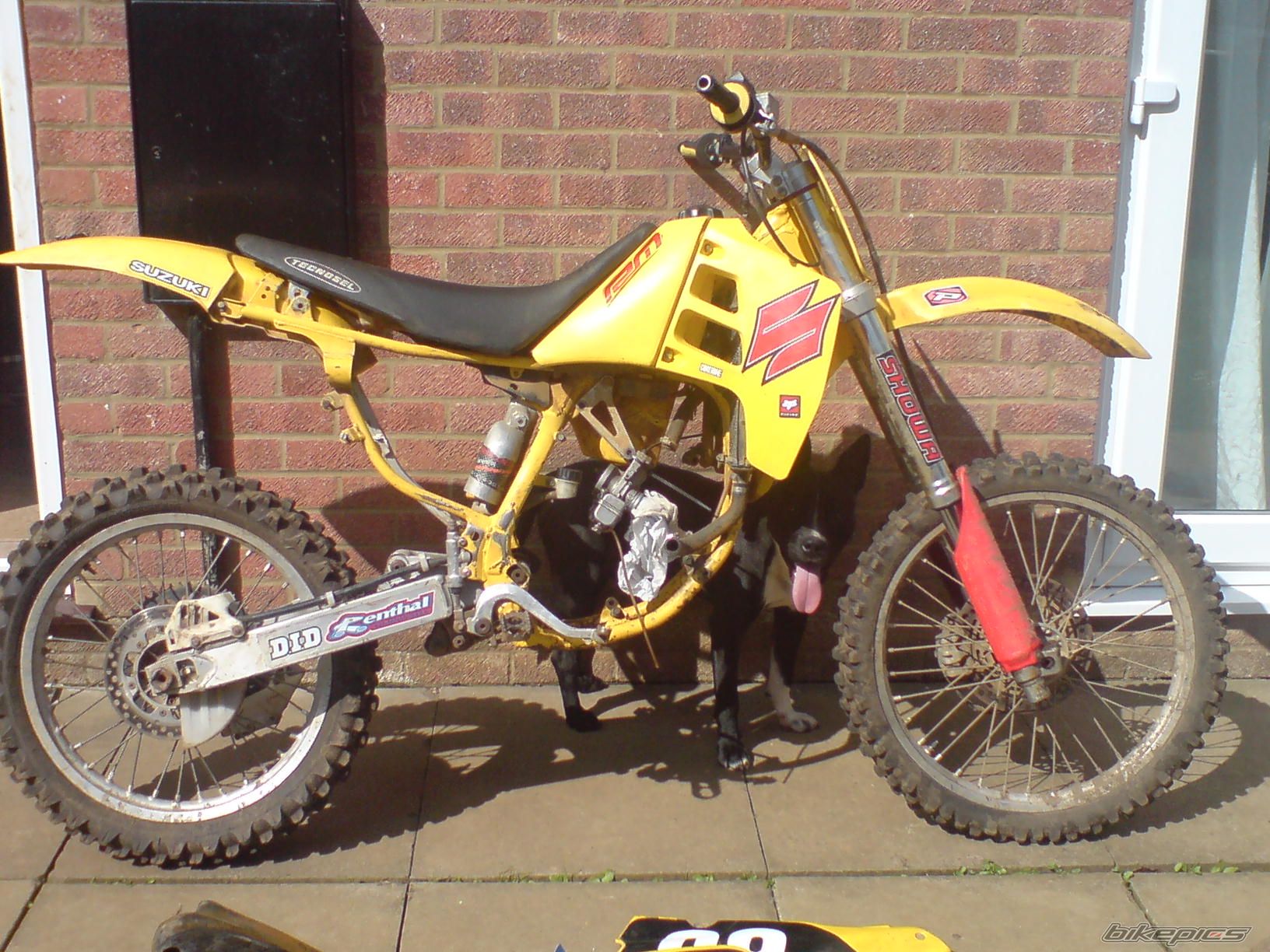 1993 SUZUKI RM 125 | Picture 1363620 motorcycle photo