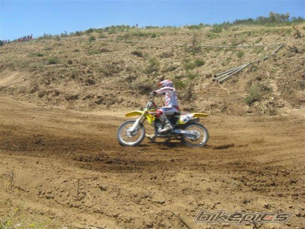 2008 SUZUKI RM 250 Z | Picture 1363935 motorcycle photo