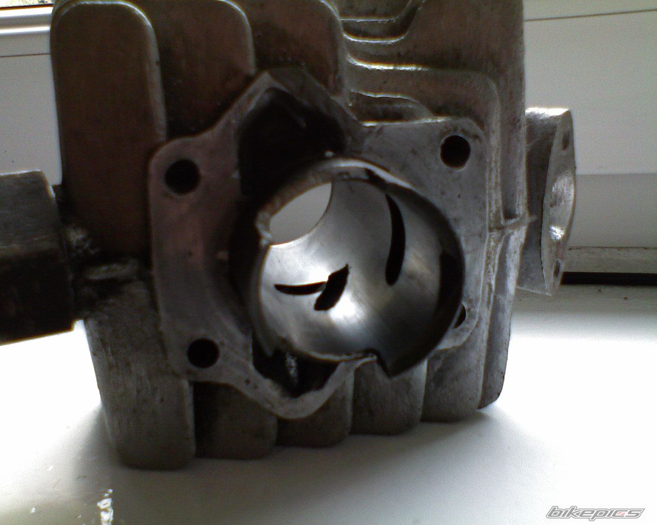 1984 ROMET PONY 50 | Picture 1364029 motorcycle photo