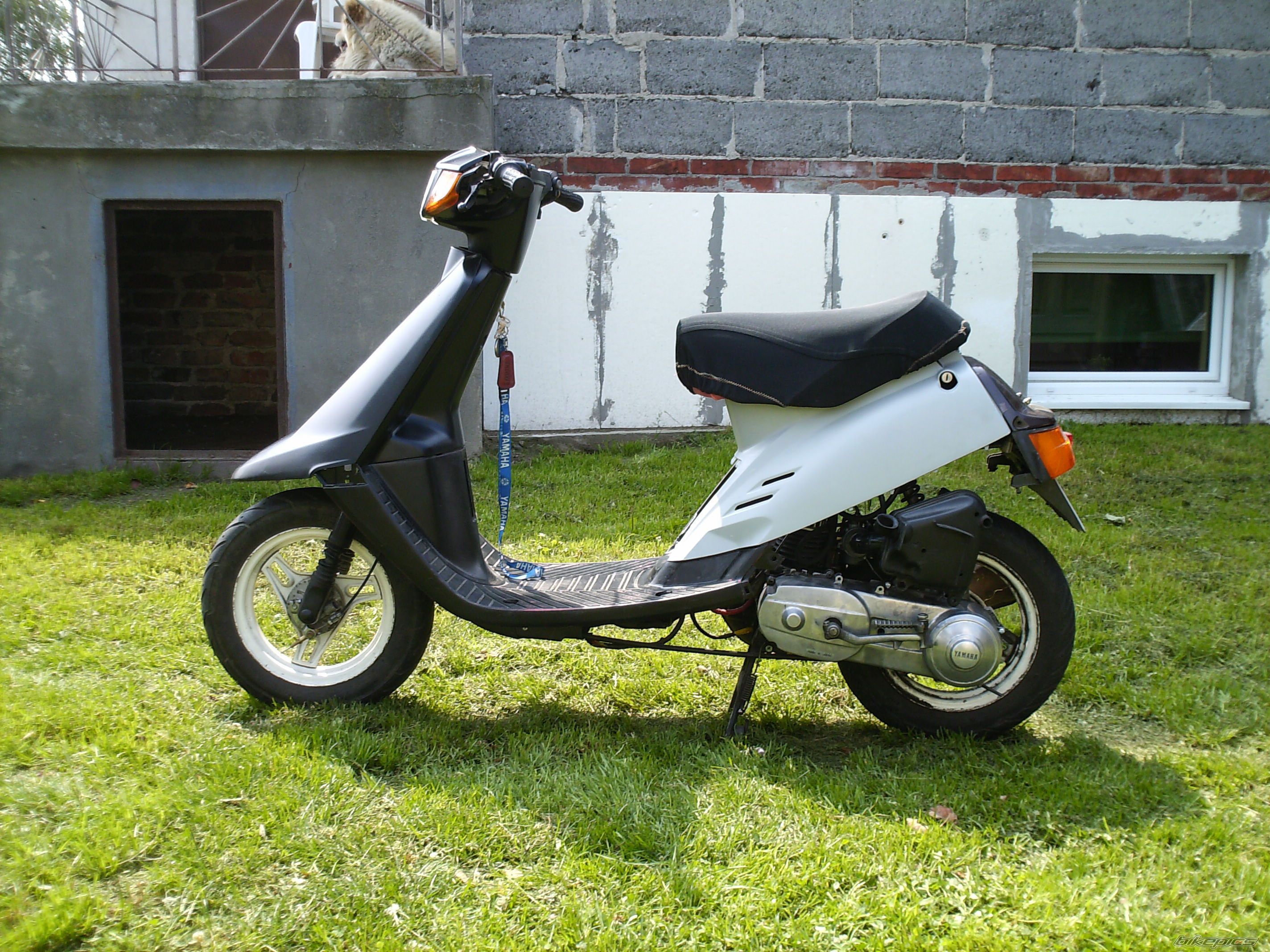 1994 YAMAHA JOG | Picture 1364551 motorcycle photo