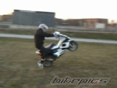 1999 GILERA RUNNER 50 | Picture 136515 motorcycle photo