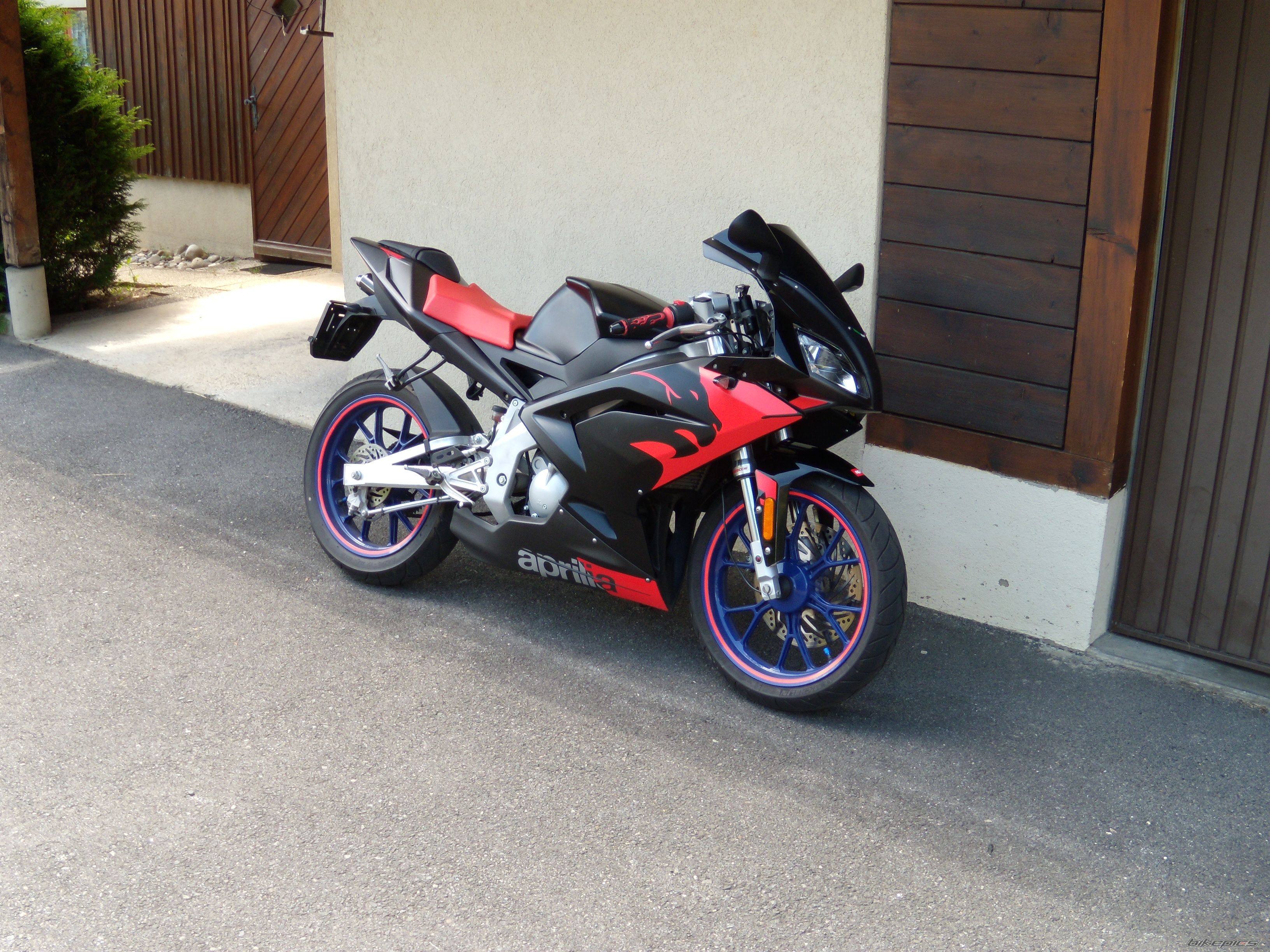 2008 APRILIA RS 50 | Picture 1365439 motorcycle photo