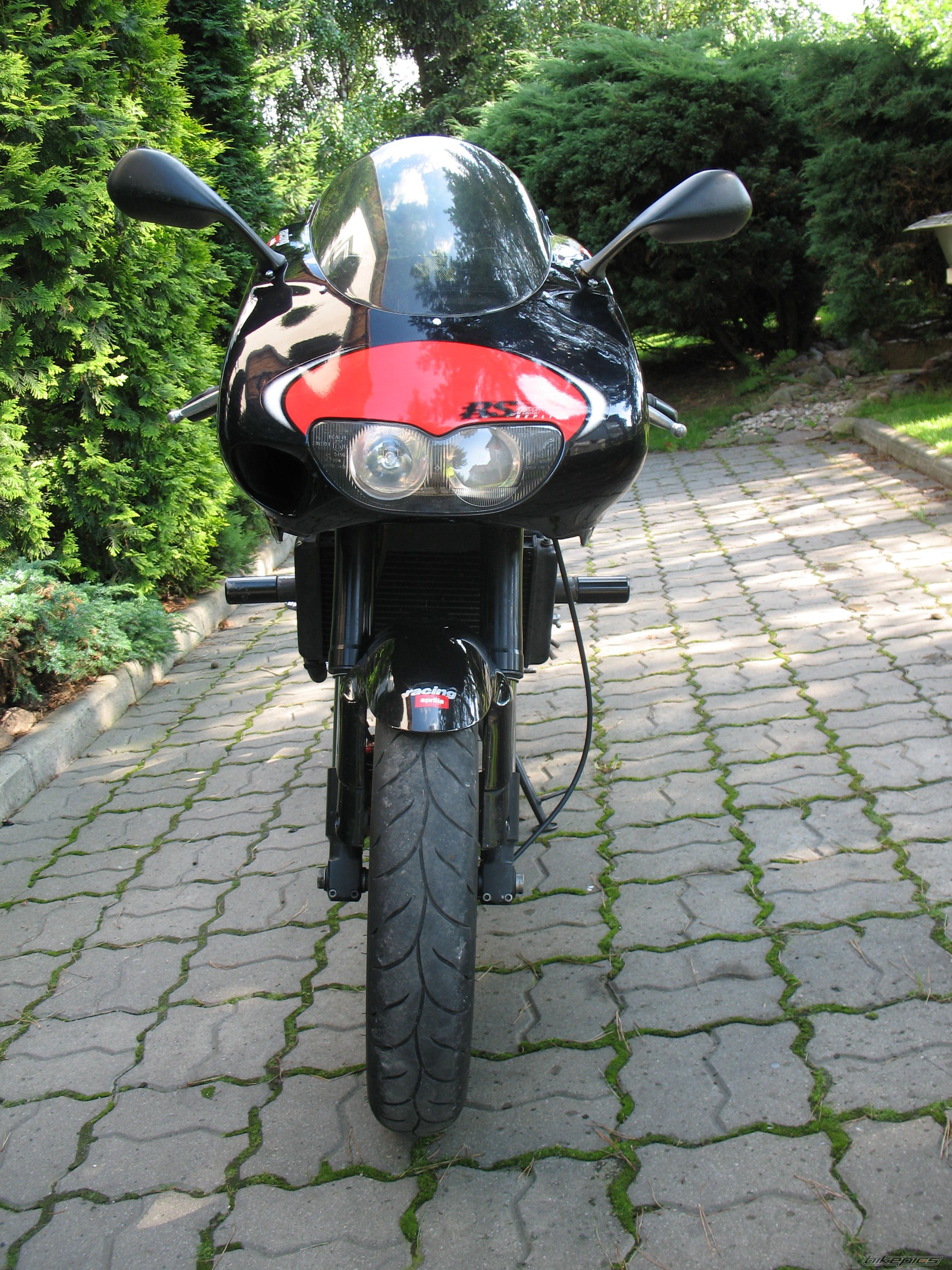 1999 APRILIA RS 125 | Picture 1365478 motorcycle photo